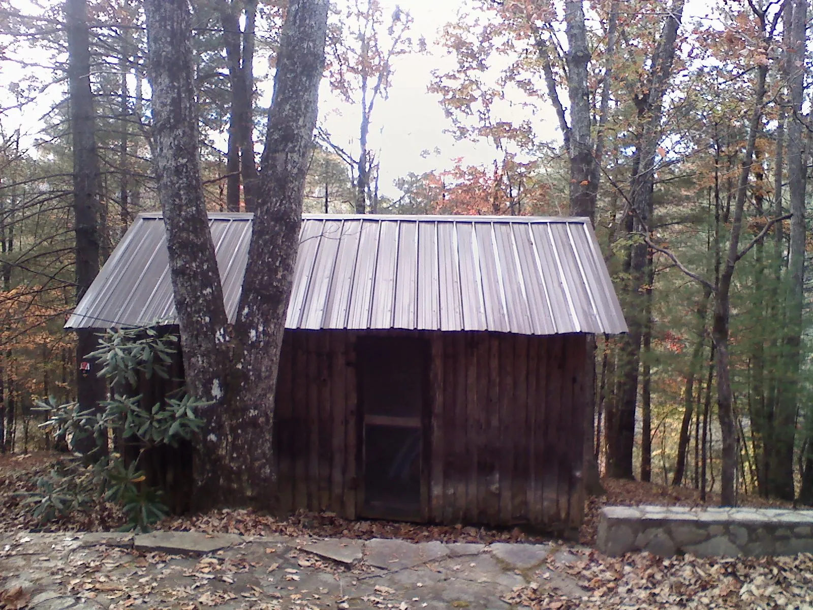 New metal gable roof on a small log shed among the trees in Charleston